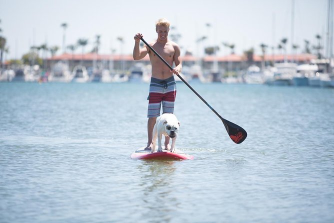 1.5 Hour Paddle Board Rental with Instruction - Key Points You’ll Care About