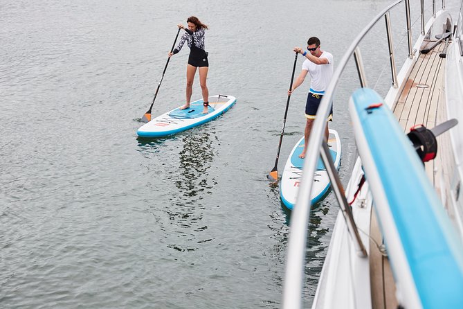 1.5 Hour Paddle Board Rental with Instruction - The Lesson and Safety Gear: The Part That Makes You Enjoy It
