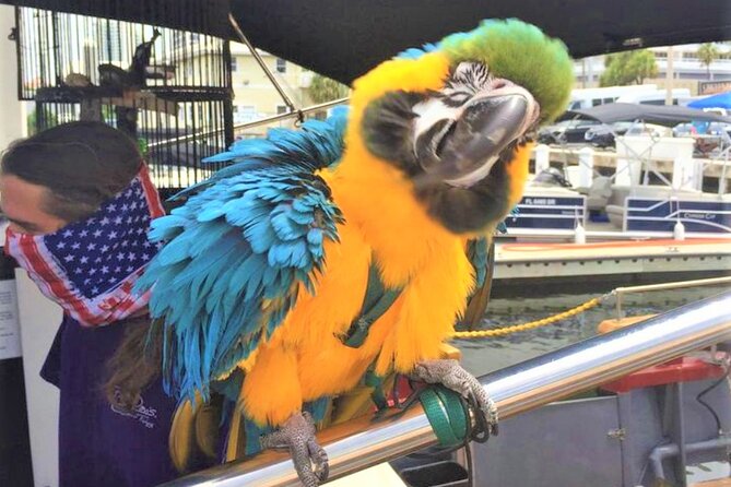 1-Hour Interactive Pirate Cruise (arrive 30 minutes early) - Bluefoot Pirate Cruise: Why This 1 Hour Works for Families