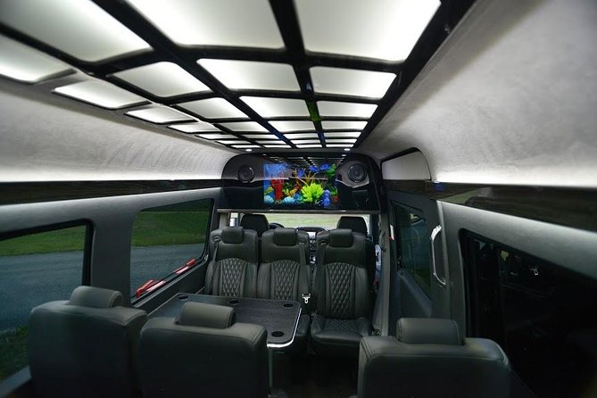 14 Passenger Luxury Sprinter Party Bus Ft Lauderdale 3 hour - South Beach energy: photo moments and neighborhood identity