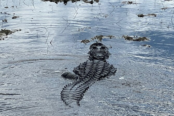 2.0 HR Private Guided Airboat Tour in Everglades, Fort Lauderdale - Francis S. Taylor Wildlife Management Area: stop-by-stop style, minus the fluff