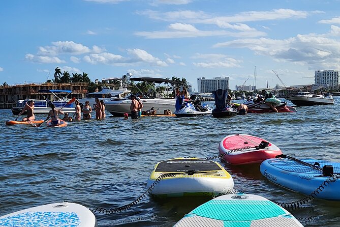 2 Hours Private Paddleboard Activity - Wildlife Along the Way: Tortoises, Snakes, and Seabirds