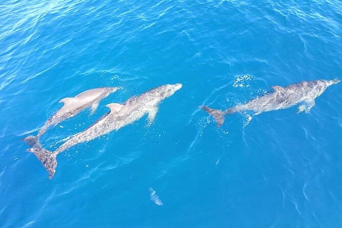 6-Hour Sailing Charter from Fort Lauderdale - Captain Charlie’s Attentiveness: Why the People Matter