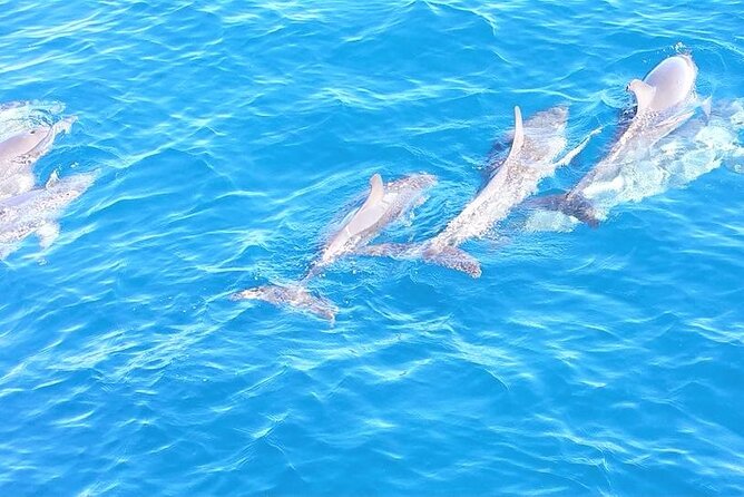 6-Hour Sailing Charter from Fort Lauderdale - What to Bring (So You Don’t Waste Time Thinking)