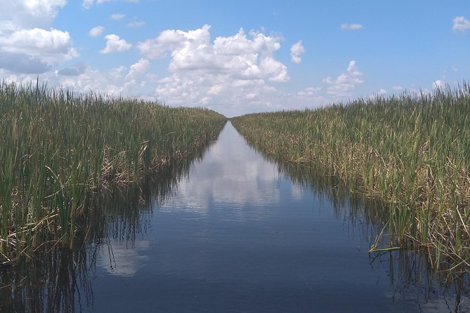 Air Boat Tour of Palm Beach in The Swamp Monster - What the Guide Does That Makes the Difference