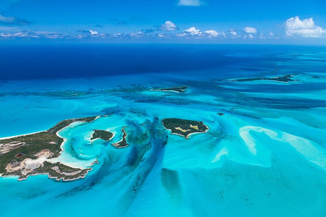 Bimini Day Cruise from Fort Lauderdale with Round-Trip Miami Transfer - The Morning Rush: Why This Starts at 5:00 am