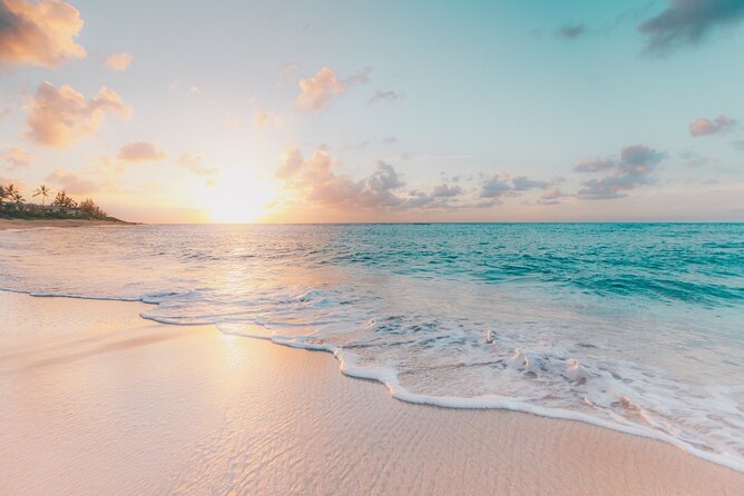 Bimini or Grand Bahama Island by Ferry - A Ferry Escape from Fort Lauderdale to the Bahamas