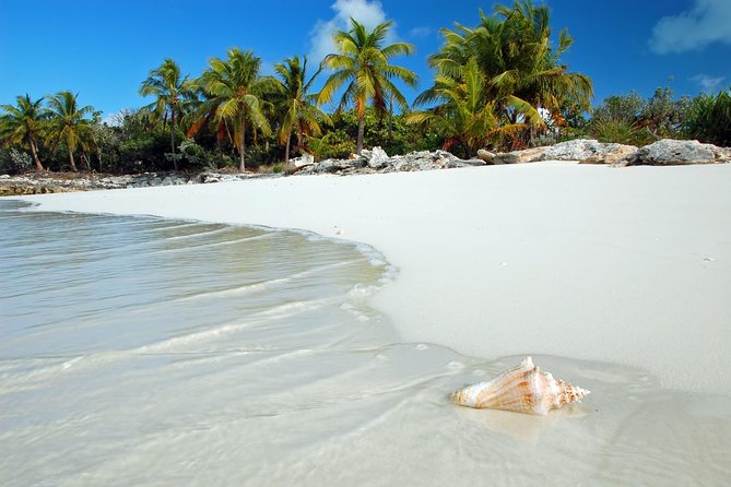 Day Trip to Bimini, Bahamas - Ferry Tickets - Check-in day flow: what happens at the terminal