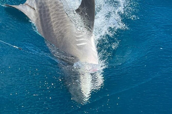 Deep sea fishing charters in Fort Lauderdale aboard 52' Hatteras - Price and value: $995 per group up to 6 people
