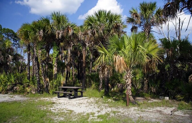 Everglades Day Safari from Ft Lauderdale - Key moments that make this safari work