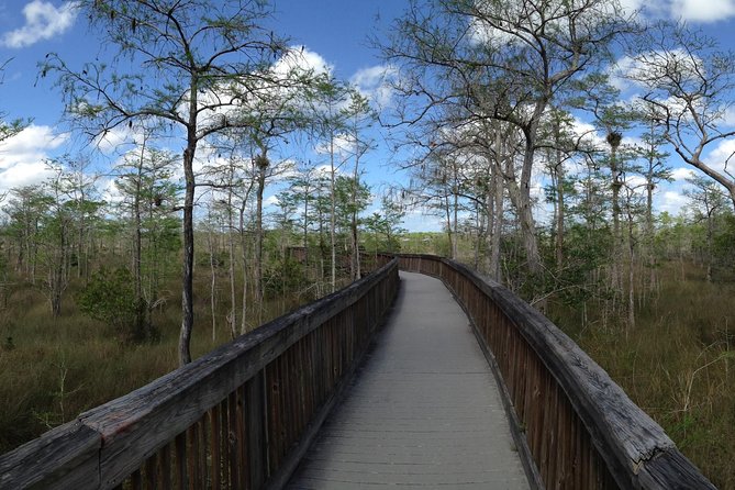 Everglades Day Safari from Ft Lauderdale - Miccosukee Indian Village: chickee island by airboat