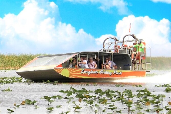 Everglades Holiday Park Airboat Tours & Rides - Seeing alligators (and friends): how to maximize your odds