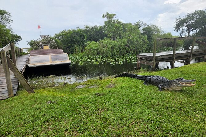 Everglades National Park Biologist Led Adventure: Cruise, Hike + Airboat - Chokoloskee lunch: local seafood with real options