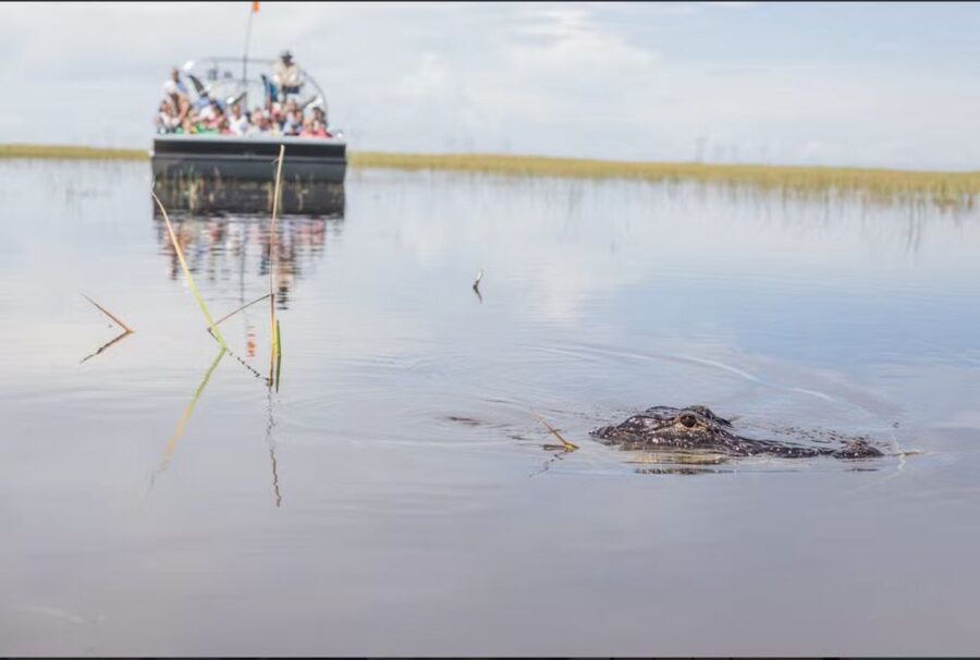 Everglades: Sawgrass Park Airboat Adventure Package - Gator Grill and the Deluxe add-ons (how to decide)