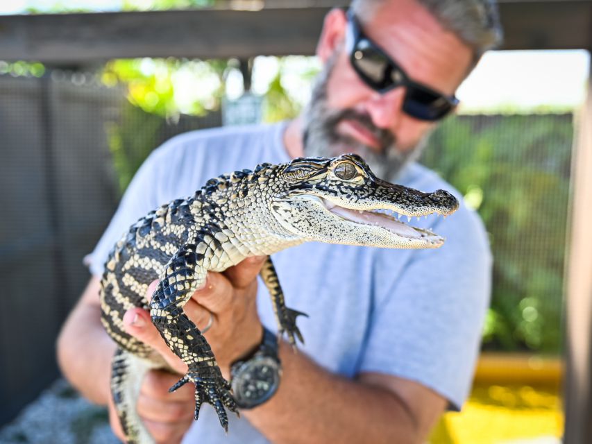 Everglades: Sawgrass Park Day Time Airboat Tour & Exhibits - Sawgrass Recreation Park: where your Everglades day actually starts
