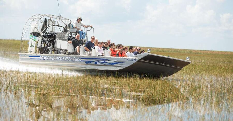 Everglades: Sawgrass Park Day Time Airboat Tour & Exhibits - What you can realistically spot: alligators and the birds that share their world