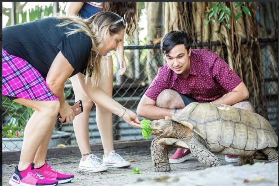 Everglades: Sawgrass Park Reptile Exhibit Private Tour - Cannibal the 1,000-Pound Alligator: The Moment Everyone Tracks