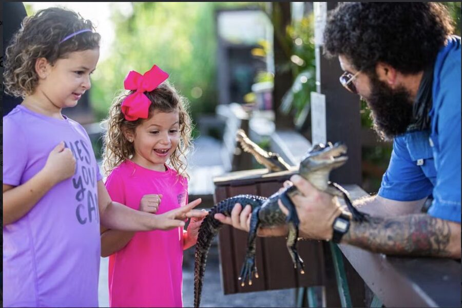 Everglades: Sawgrass Park Reptile Exhibit Private Tour - Feeding Tortoises and Touching Animals (So You Learn What Your Eyes Miss)