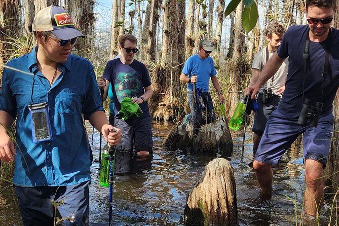 Everglades Tour w/ Biologist Led WET walk + 2 Boat Trips + Lunch! - Key Takeaways Before You Go