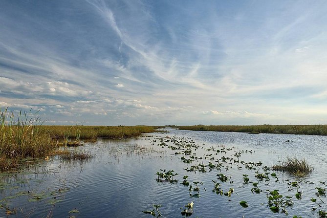 Everglades Tour w/ Biologist Led WET walk + 2 Boat Trips + Lunch! - Big Cypress National Preserve: The Swamp Walk Under the Cypress Canopy