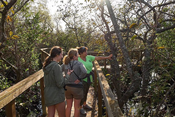 Everglades Tour w/ Biologist Led WET walk + 2 Boat Trips + Lunch! - Smallwood Store and Chokoloskee: Museum-Worthy Pauses and Ten Thousand Islands Views