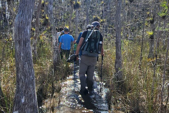 Everglades Tour w/ Biologist Led WET walk + 2 Boat Trips + Lunch! - Price and Value: What $375 Buys (and What It Doesn’t)