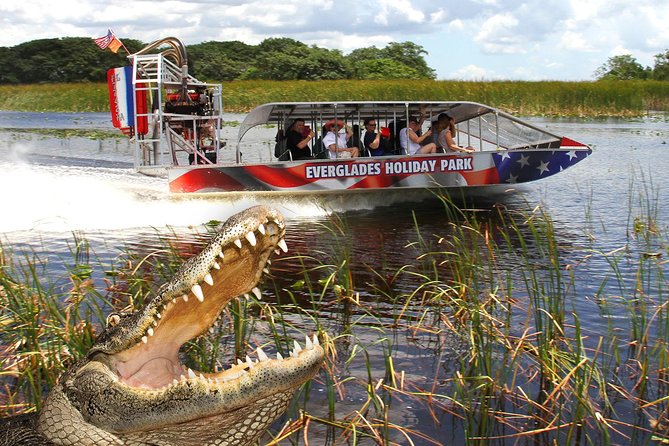 Everglades VIP Airboat Tour with Transportation Included - Price and value: why $65 is usually fair (and what’s not included)