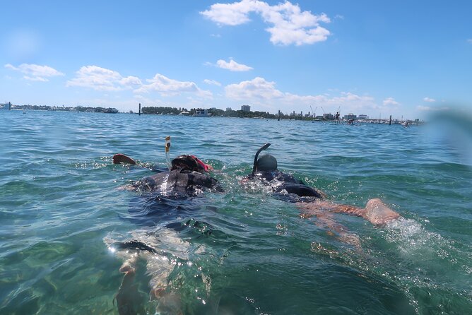 Exclusively Private Snorkel Adventures Training & Tours Ultimate - What Makes This Private Snorkel Session Feel Different