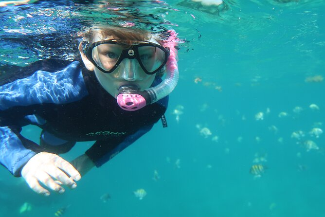 Exclusively Private Snorkel Adventures Training & Tours Ultimate - Who This Is Best For (and Who Should Skip It)