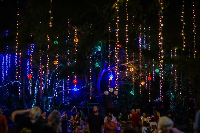 Flamingo Gardens' Garden of Lights - Key Highlights You’ll Care About