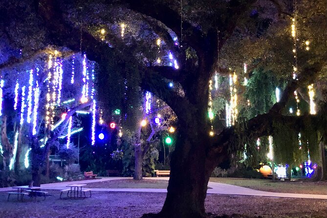 Flamingo Gardens' Garden of Lights - The Self-Guided Route Through the Arboretum and Wray Lawn
