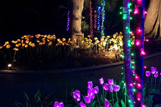 Flamingo Gardens' Garden of Lights - Lights, Decor, and the Snow Moment: The Main Attractions