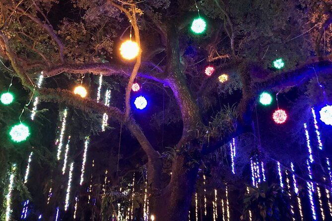 Flamingo Gardens' Garden of Lights - What’s Not Open at Night (So You Don’t Build the Wrong Plan)