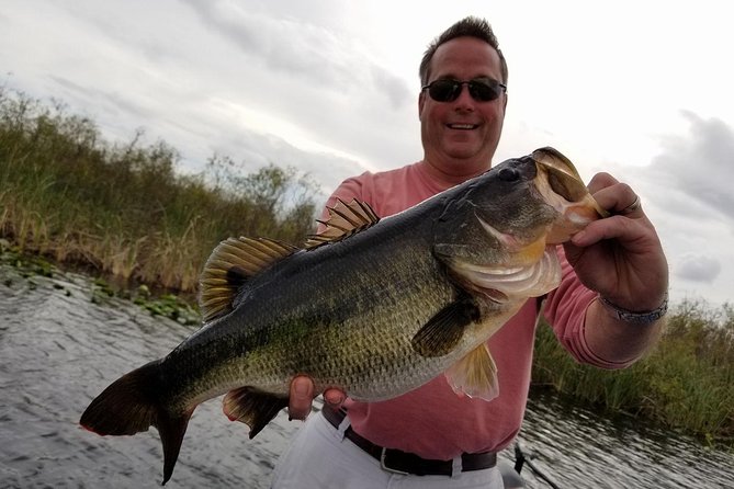 Florida Everglades Fishing Charter Near Fort Lauderdale - Stop 2 at Everglades Holiday Park: The Airboat Part and Comfort Breaks