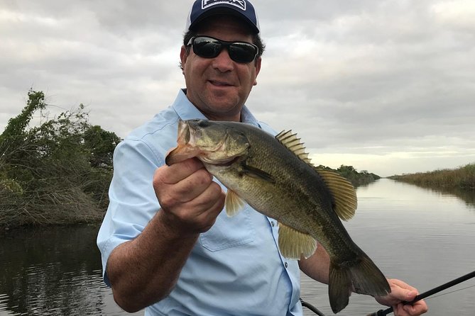 Florida Everglades Fishing Charter Near Fort Lauderdale - Stop 3 Into the Everglades: Wildlife, Bass Fishing, and Timing