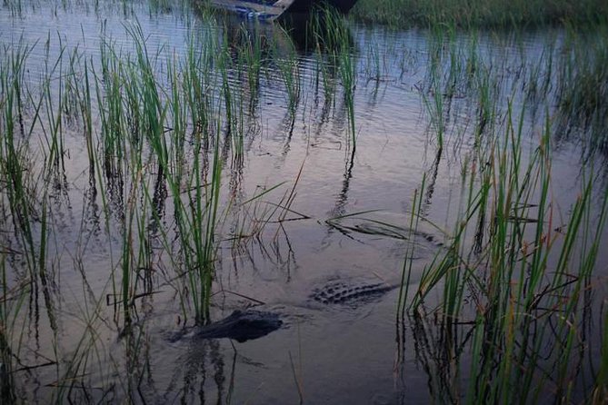 Florida Everglades Private Night Airboat Ride Tour - Sawgrass Recreation Park: The Daytime Add-On That Makes the Trip Worth It