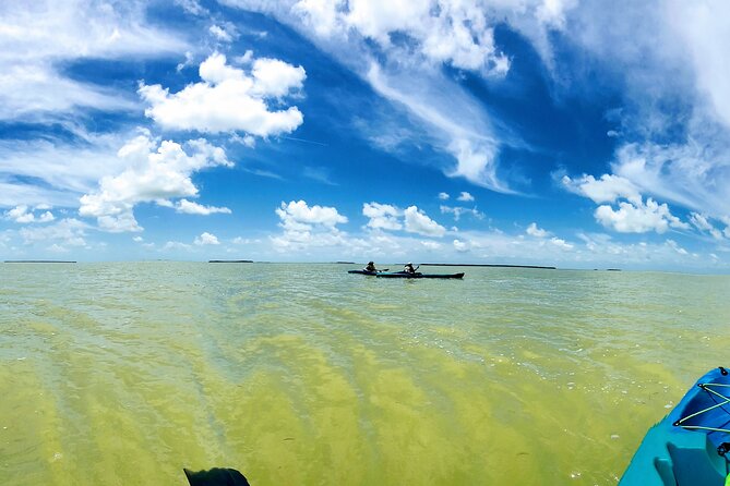 Florida Keys Eco Tour: Snorkel, Kayak, Lunch + Transportation! - Key Things I’d Plan Around