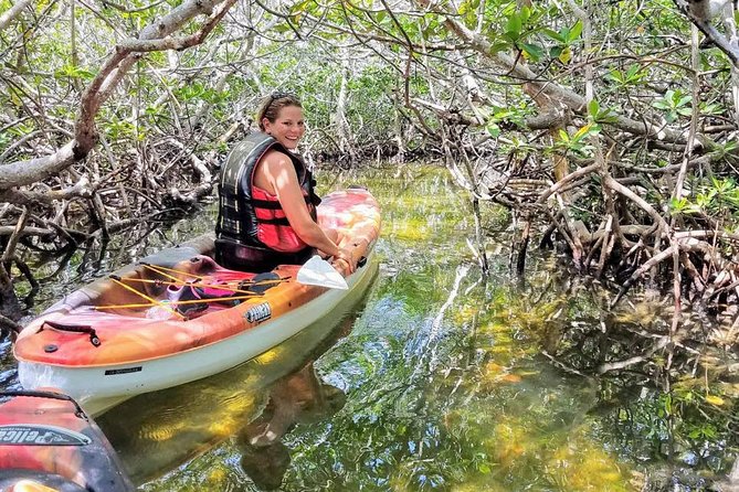 Florida Keys Eco Tour: Snorkel, Kayak, Lunch + Transportation! - Coral Reef Snorkeling in the Florida Keys National Marine Sanctuary