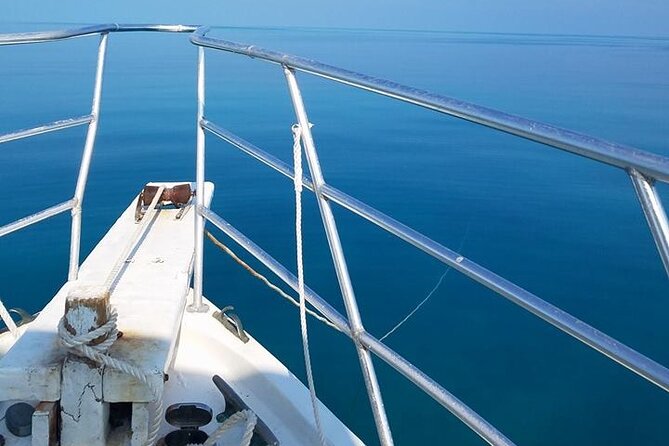 Florida Keys Eco Tour: Snorkel, Kayak, Lunch + Transportation! - Boat Ride Back: Unlimited Rum Punch, Snacks, and One Last Wildlife Scan