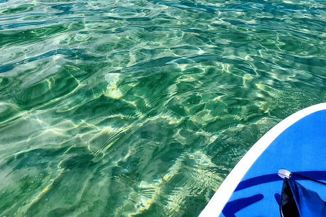 Florida Keys Eco Tour: Snorkel, Kayak, Lunch + Transportation! - Key Lime Pie Stop: A Sweet Finish to a Saltwater Day