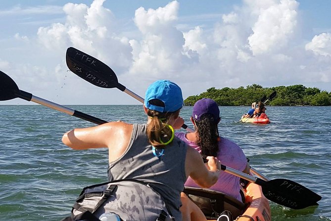 Florida Keys Eco Tour: Snorkel, Kayak, Lunch + Transportation! - Price and Value: What $289 Buys You (And Why It’s Not Just a Tour Ticket)