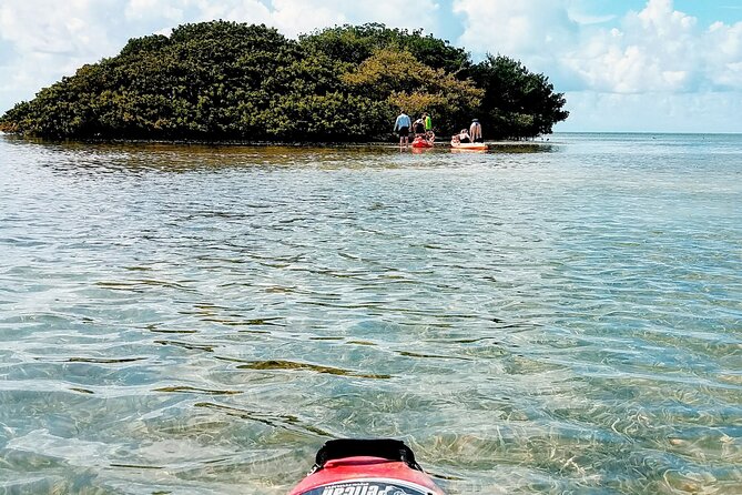 Florida Keys Eco Tour: Snorkel, Kayak, Lunch + Transportation! - What to Pack (So You Don’t Spend the Day Uncomfortable)