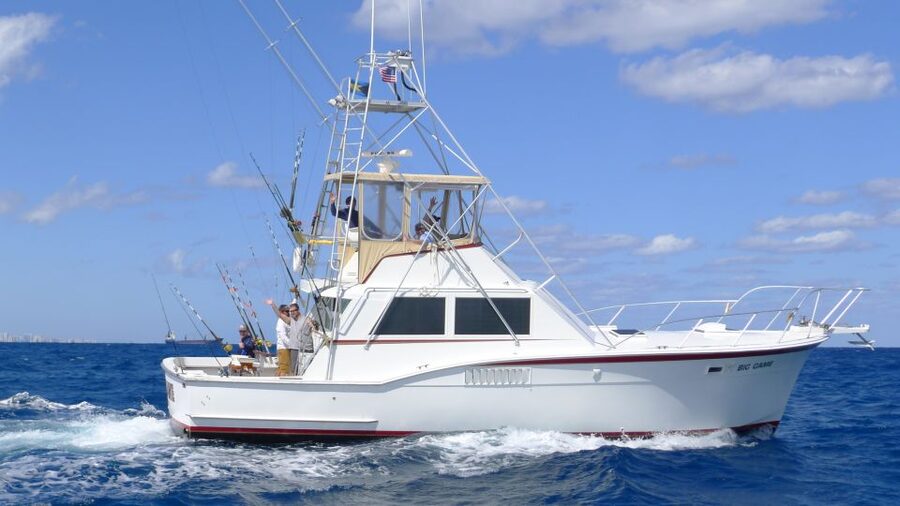 Fort Lauderdale: 4-Hour Sport Fishing Shared Charter - When Things Don’t Go Trophy-Sized: Managing Expectations