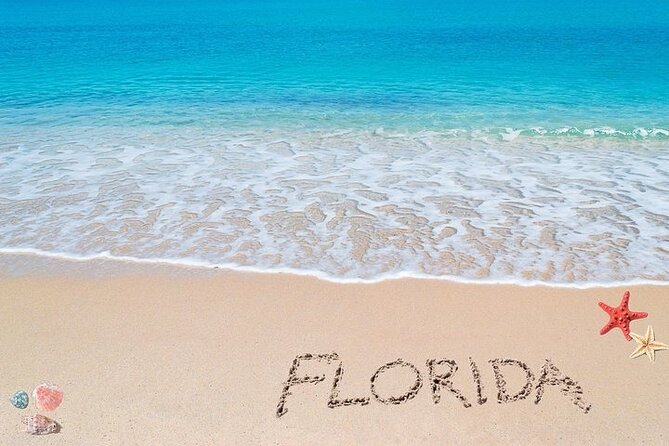Fort Lauderdale Airport Private Transfer to Port Everglades - Before you go: your checklist for an easy port arrival