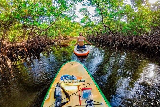 Fort Lauderdale Bonnet House Ground and Guided Paddle Board Kayak - Key highlights you’ll feel right away