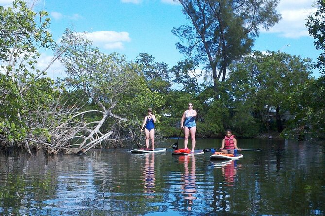 Fort Lauderdale Bonnet House Ground and Guided Paddle Board Kayak - Bartlett’s protected boathouse: a quiet detail worth noting