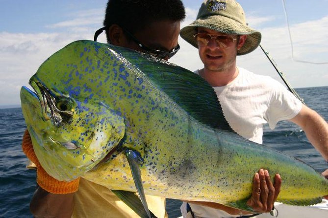 Fort Lauderdale Deep Sea Fishing Charters - Cooler strategy: bring your own food without turning it into a picnic logistics nightmare