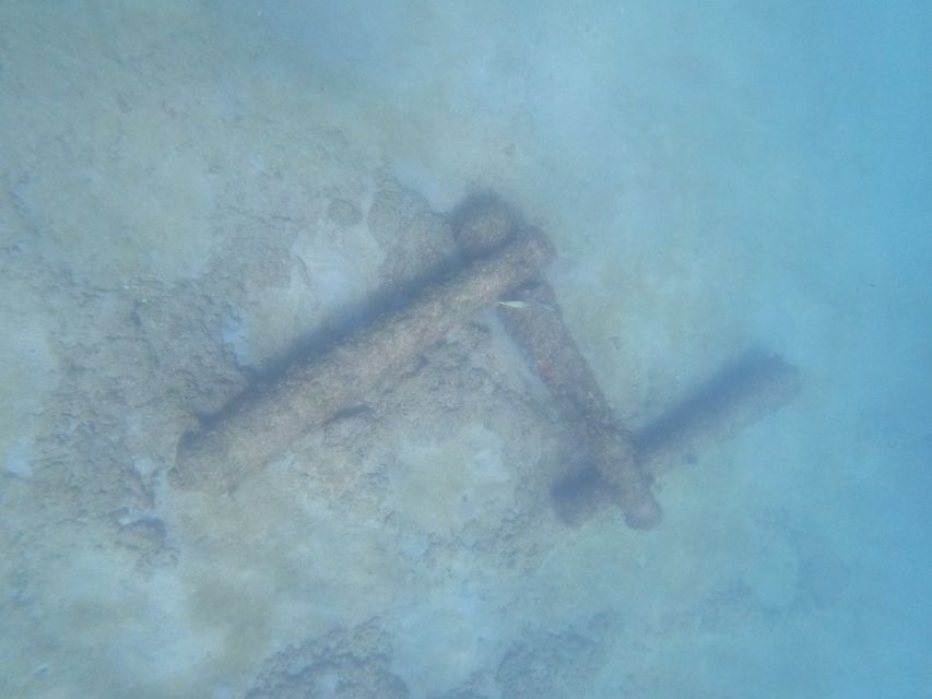 Fort Lauderdale: Guided Snorkeling Reef Tour and Lesson - The reef ecosystem lesson: from Port St. Lucy to Dry Tortugas