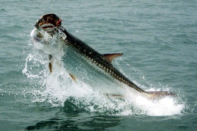Fort Lauderdale Inshore Fishing Charters - Getting to Cox’s Landing Boat Ramp (and keeping the day easy)
