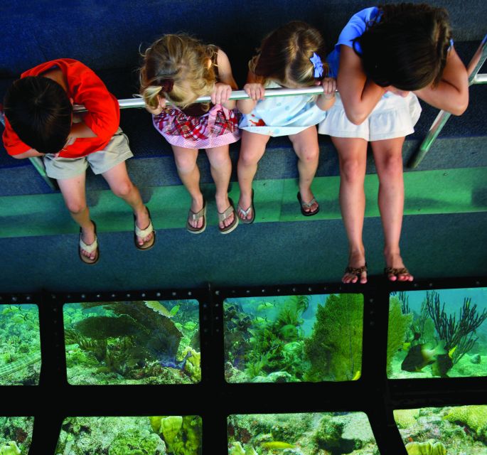 Fort Lauderdale: Key West Day Trip with Optional Activities - Optional activities: how to pick without wasting your 6 hours